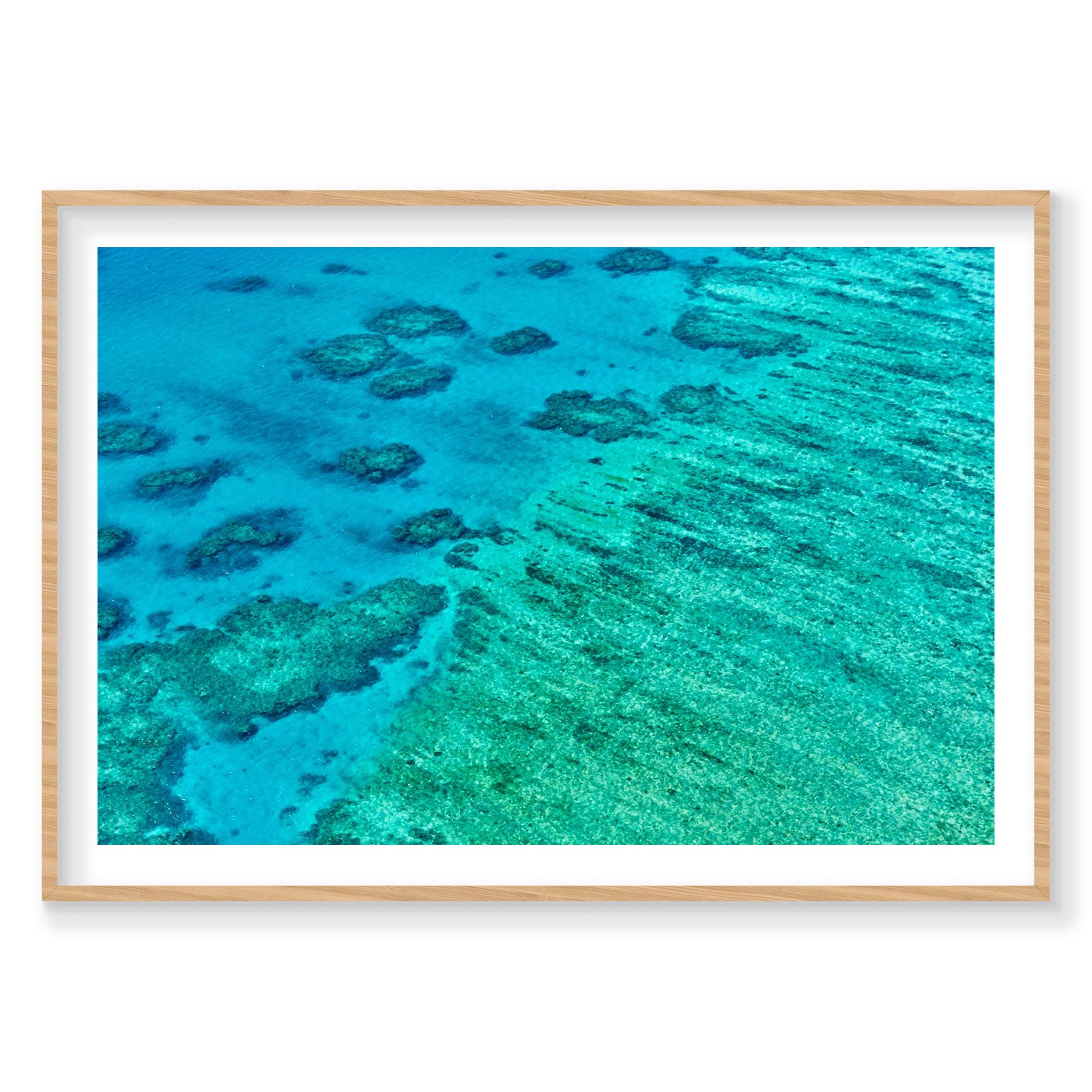 Coral, Great Barrier Reef, Horizontal Print