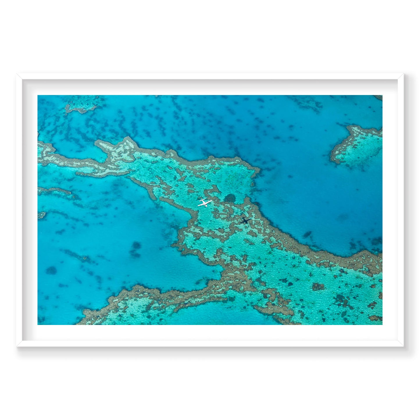 Escape, Great Barrier Reef, Horizontal Print
