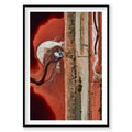 Aerial view of vibrant red salt pond with worker, Western Australia, photography print by Remy Gerega