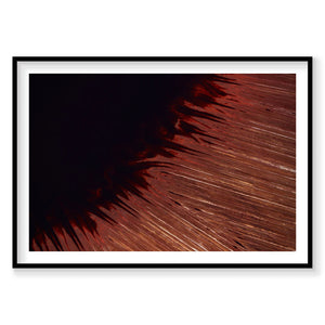 Aerial view of red mineral-stained terrain in Leeching, Western Australia, photography print by Remy Gerega