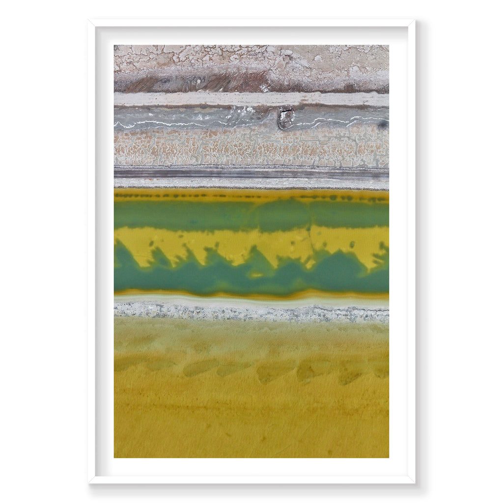 Brine, Great Salt Lake, Portrait Print