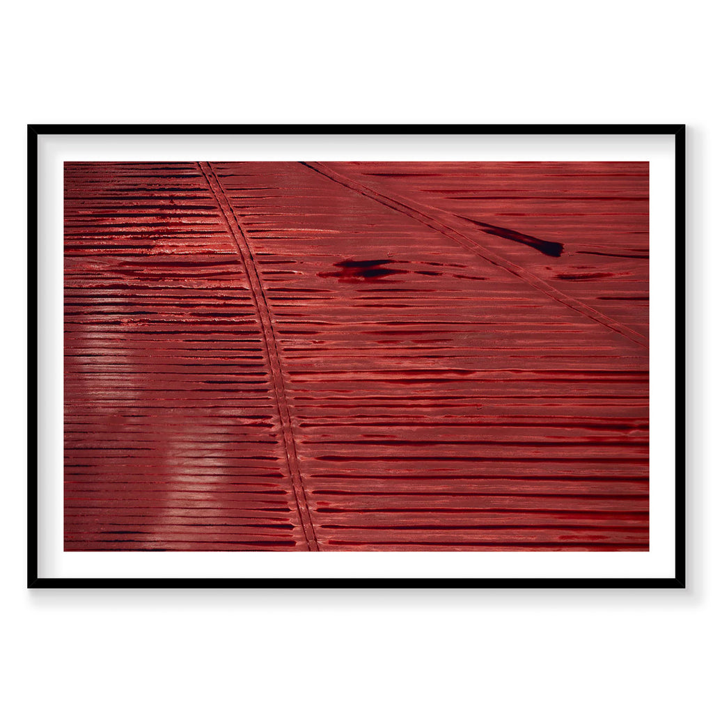 Aerial view of red agricultural fields with linear patterns, Western Australia, photography print by Remy Gerega