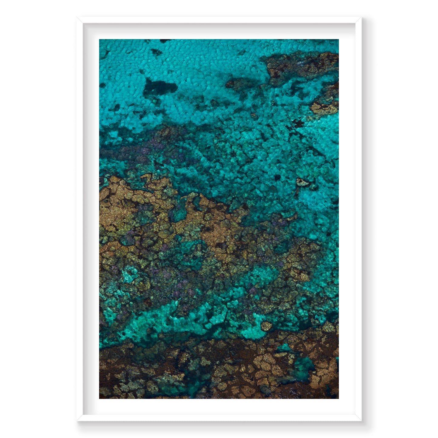 Rotto Reef, Rottnest Island, WA, Vertical Print