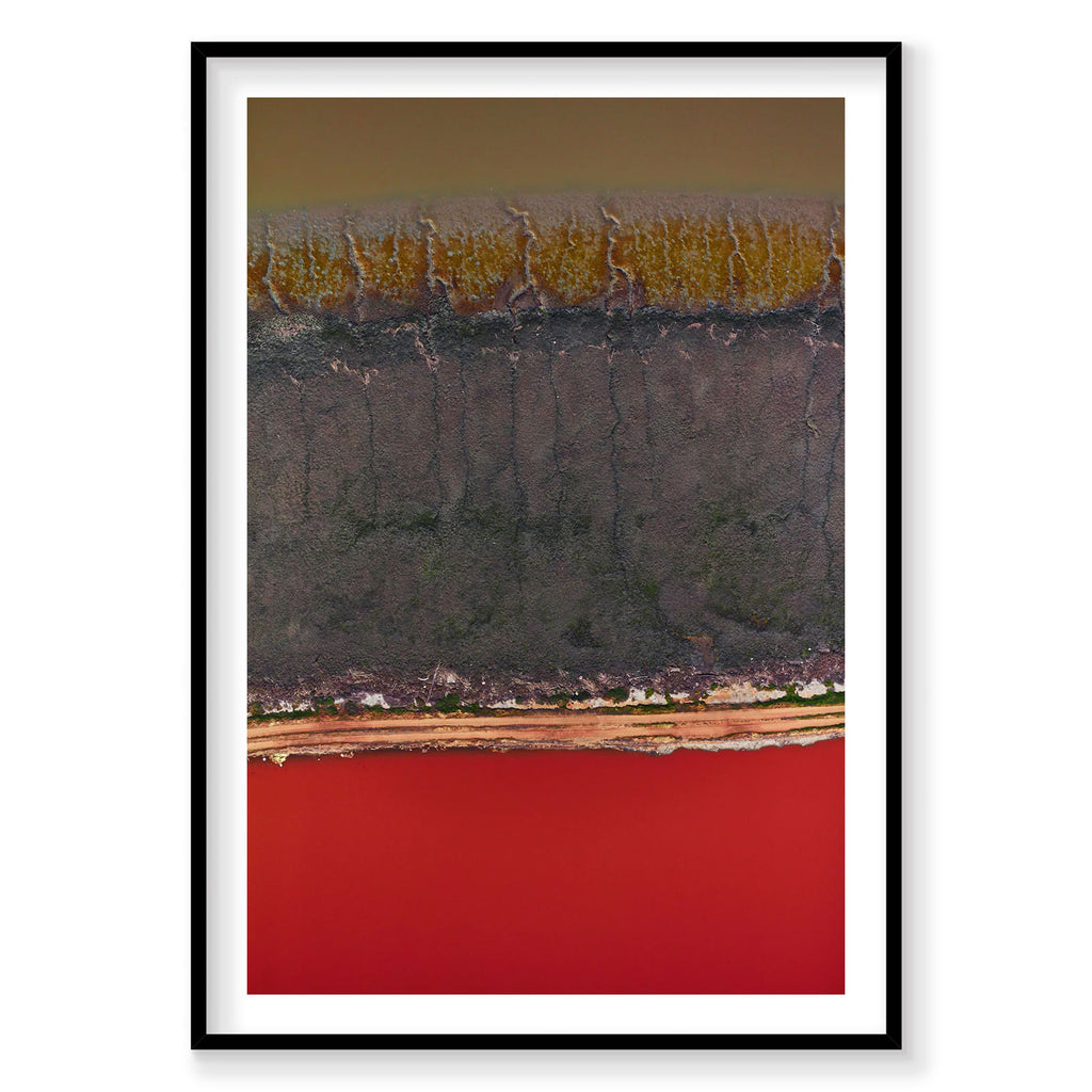 Aerial view of red water and forest landscape San Francisco Bay, photography print by Remy Gerega
