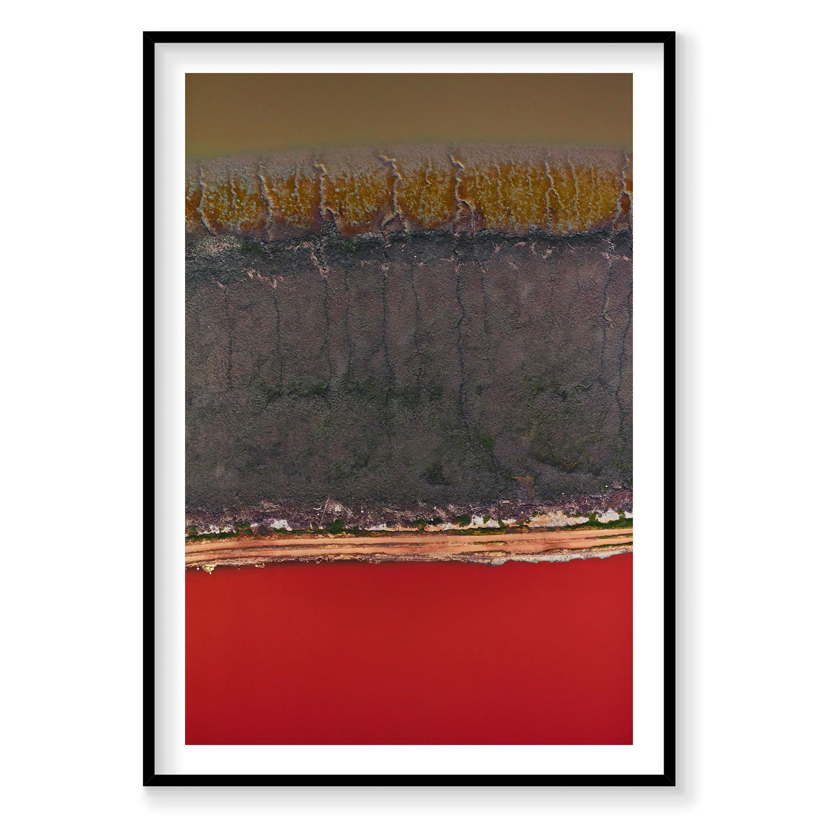 Aerial view of red water and forest landscape San Francisco Bay, photography print by Remy Gerega