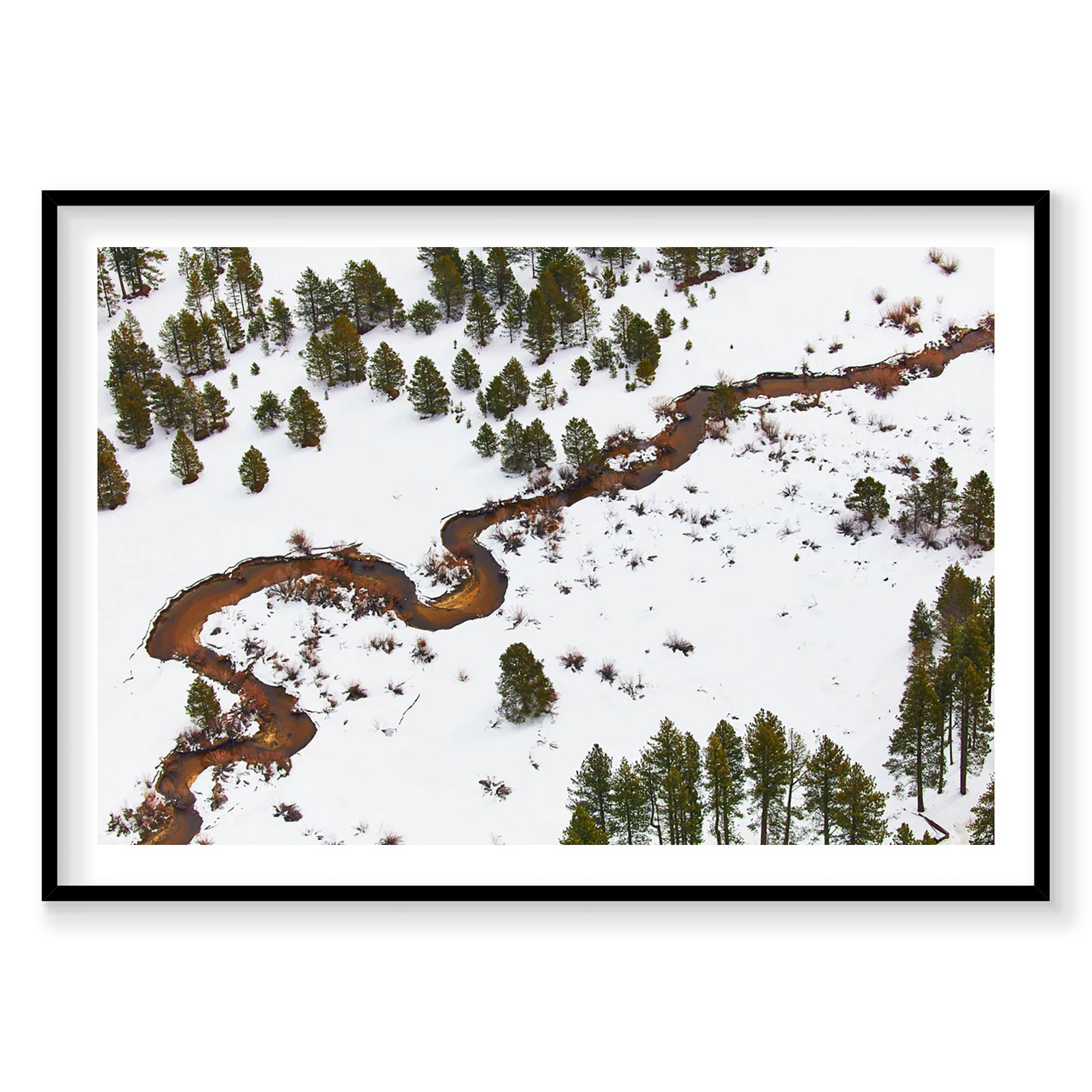 Aerial view of winding river through snowy forest with scattered evergreen trees, Lake Tahoe, photography print by Remy Ge...