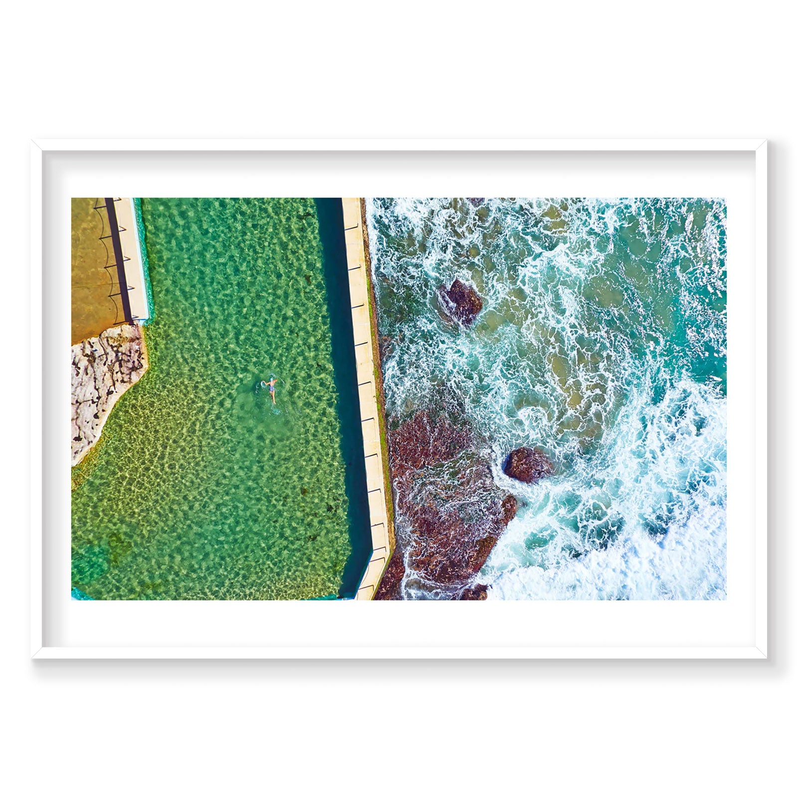 Early Morning Swim, Horizontal Print