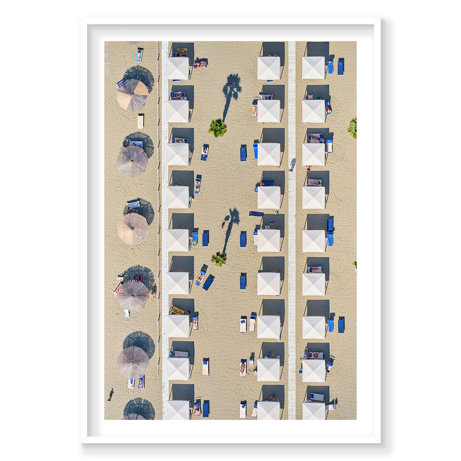 Palm Shade, Italy, Vertical Print