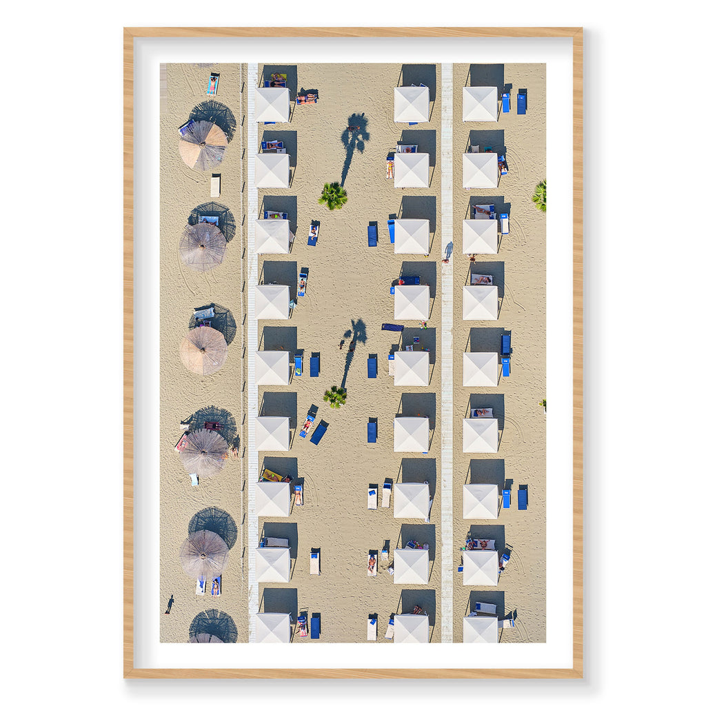 Palm Shade, Italy, Vertical Print