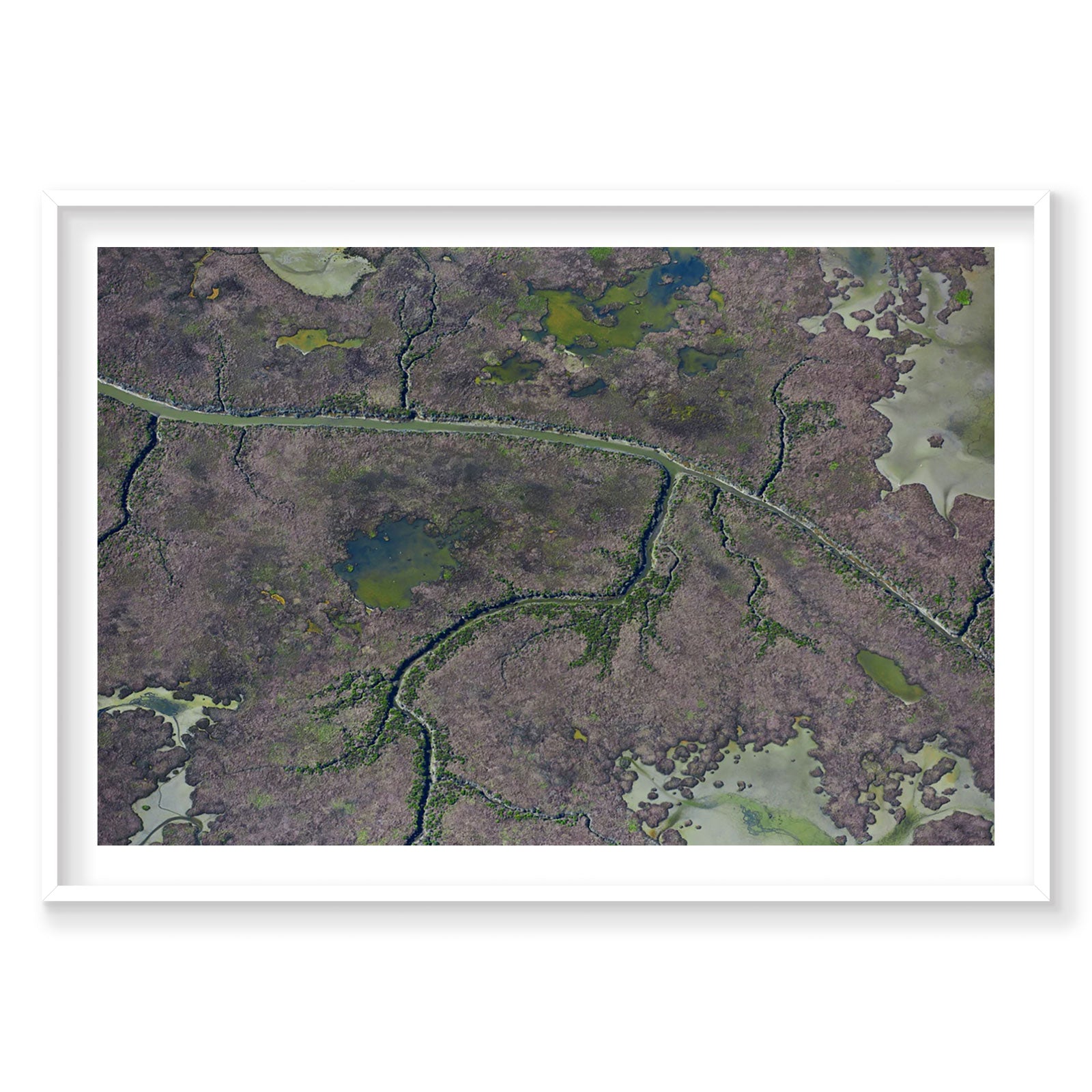 Marshland, San Francisco Bay, Horizontal Print