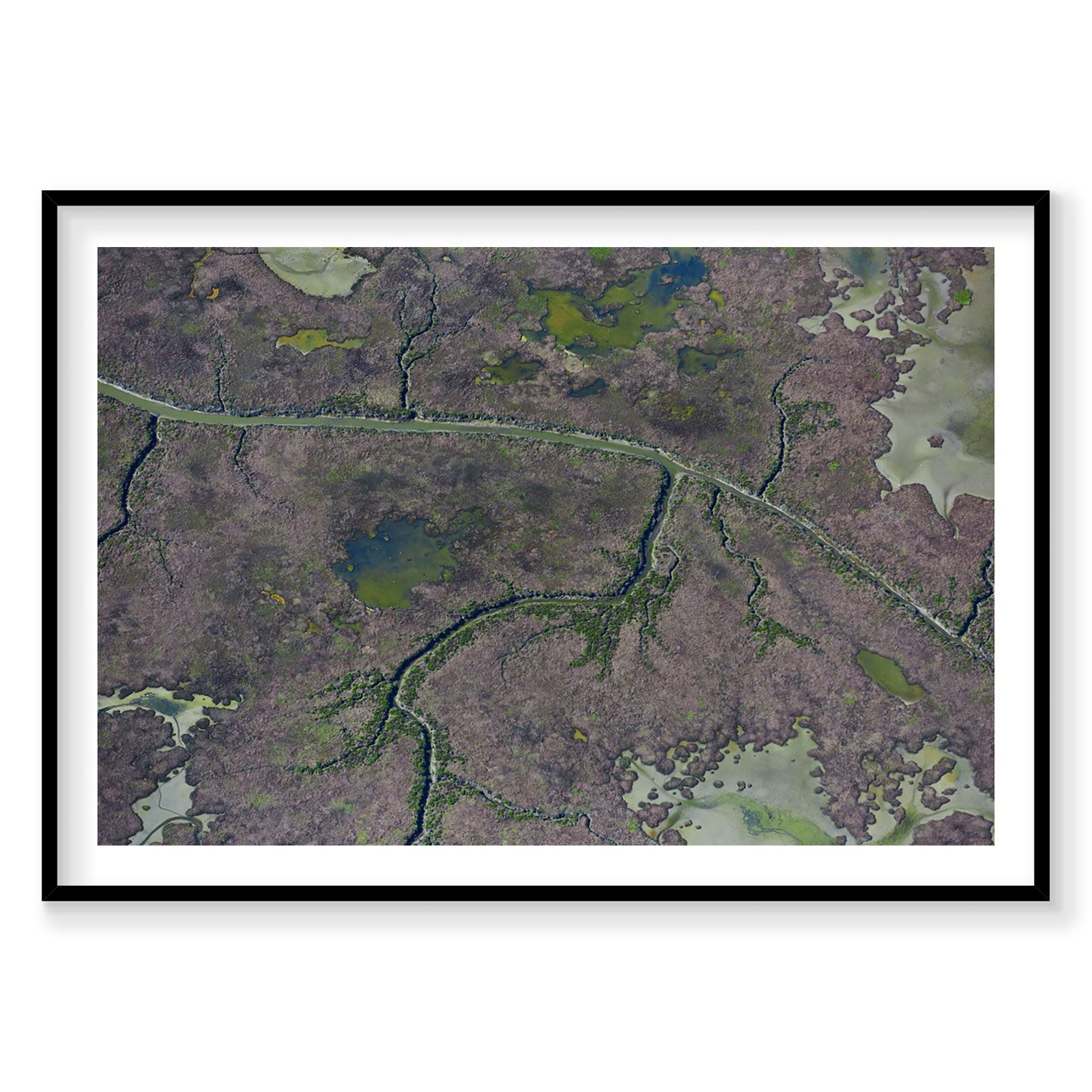 Aerial view of San Francisco Bay marshland with winding waterways and wetlands, photography print by Remy Gerega