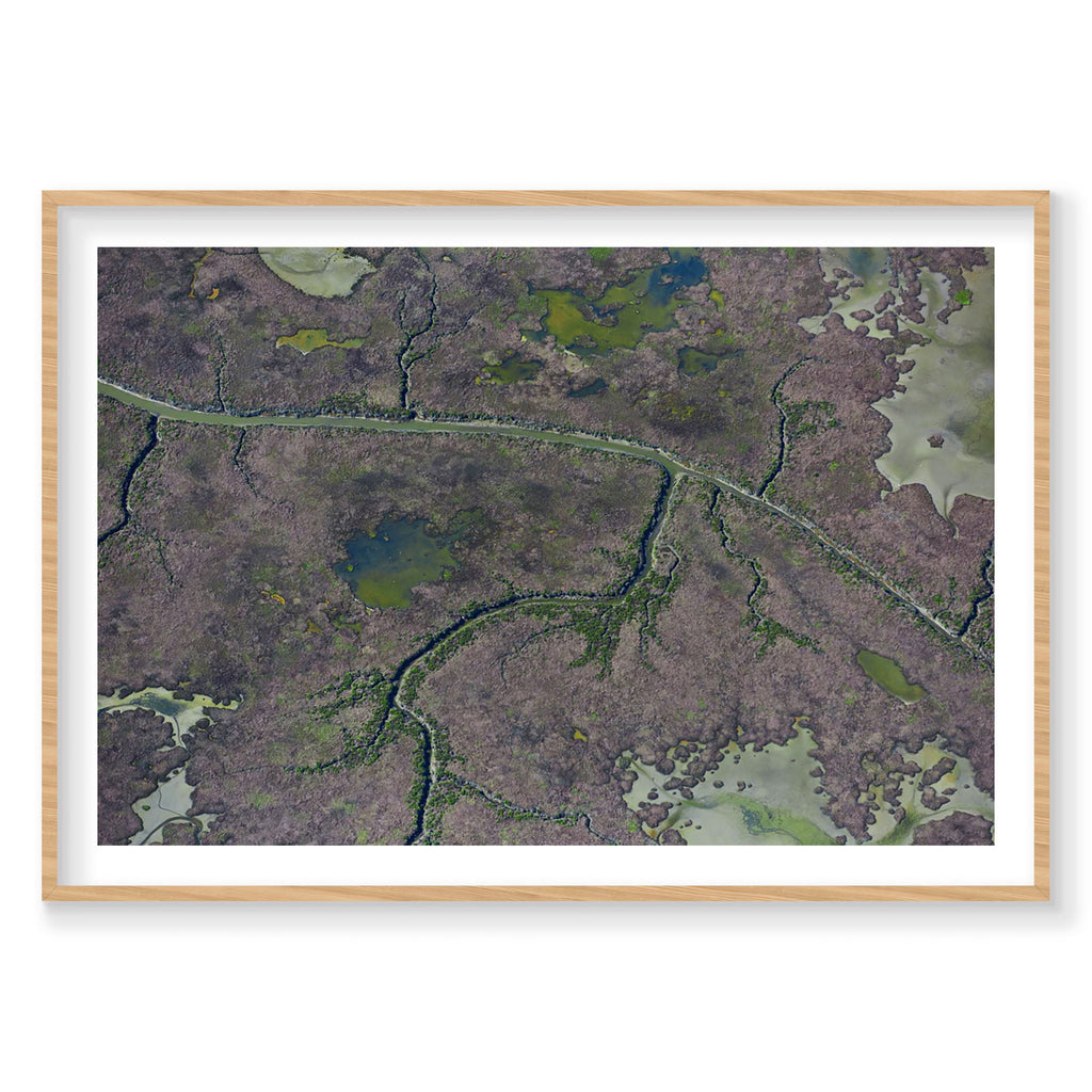 Marshland, San Francisco Bay, Horizontal Print