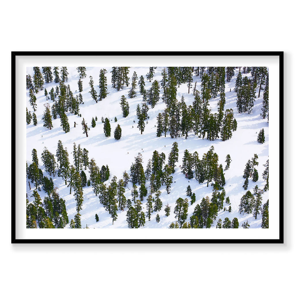 Aerial view of snow-covered pine forest at Lake Tahoe with scattered evergreen trees, photography print by Remy Gerega