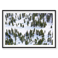 Aerial view of snow-covered pine forest at Lake Tahoe with scattered evergreen trees, photography print by Remy Gerega