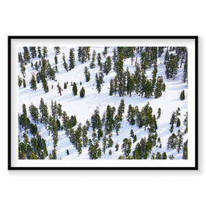 Aerial view of snow-covered pine forest at Lake Tahoe with scattered evergreen trees, photography print by Remy Gerega