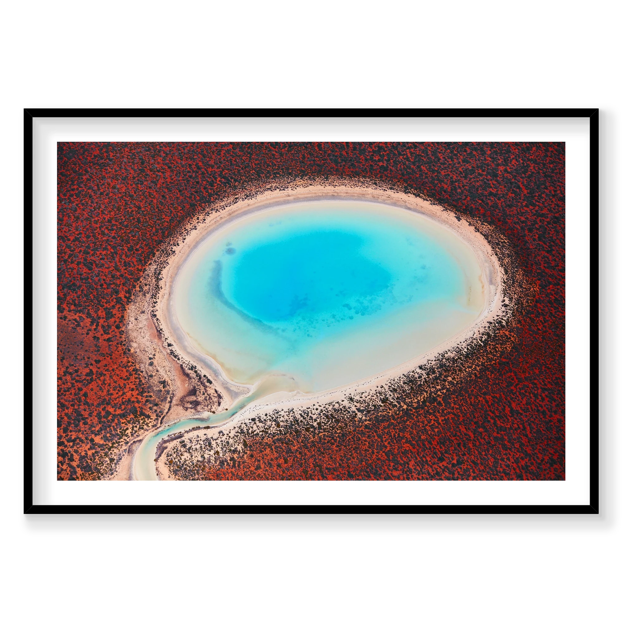 Blue Lagoon, Shark Bay, Horizontal Print, black Victorian Ash frame