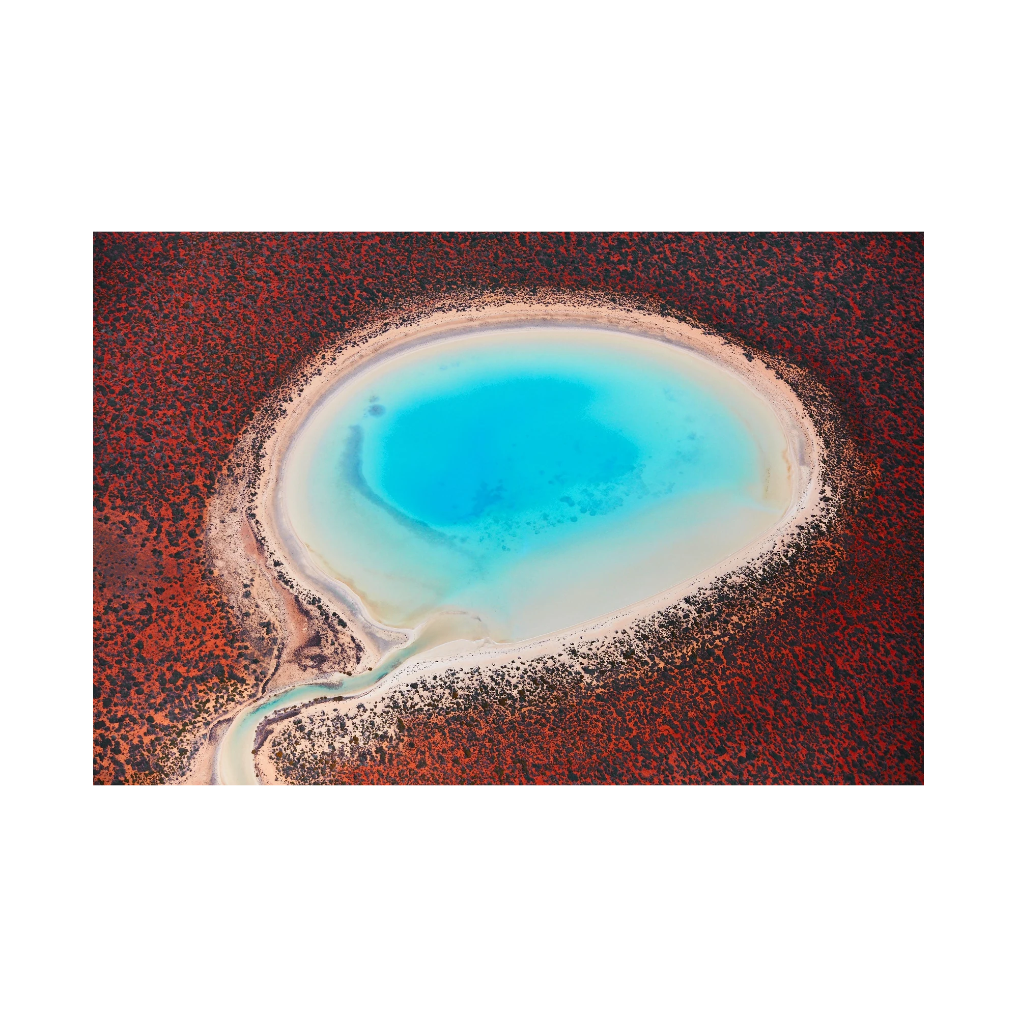 Blue Lagoon, Shark Bay, Horizontal Print, print only