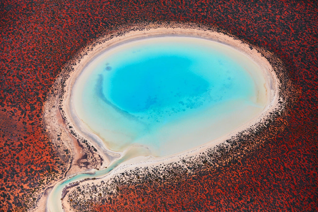 Blue Lagoon, Shark Bay, Horizontal Print - source print