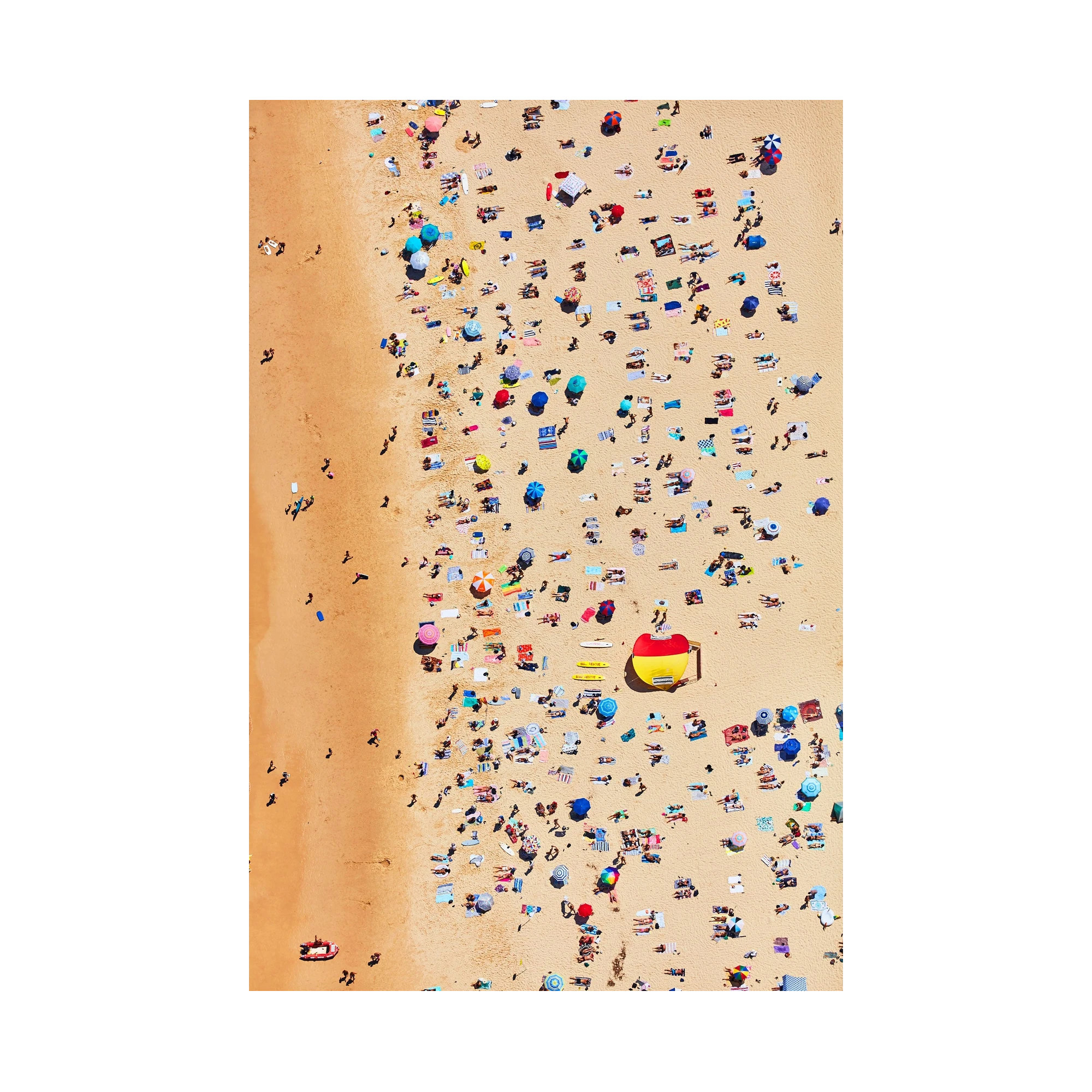 Bondi Beach Sunbathers, Vertical Print, print only