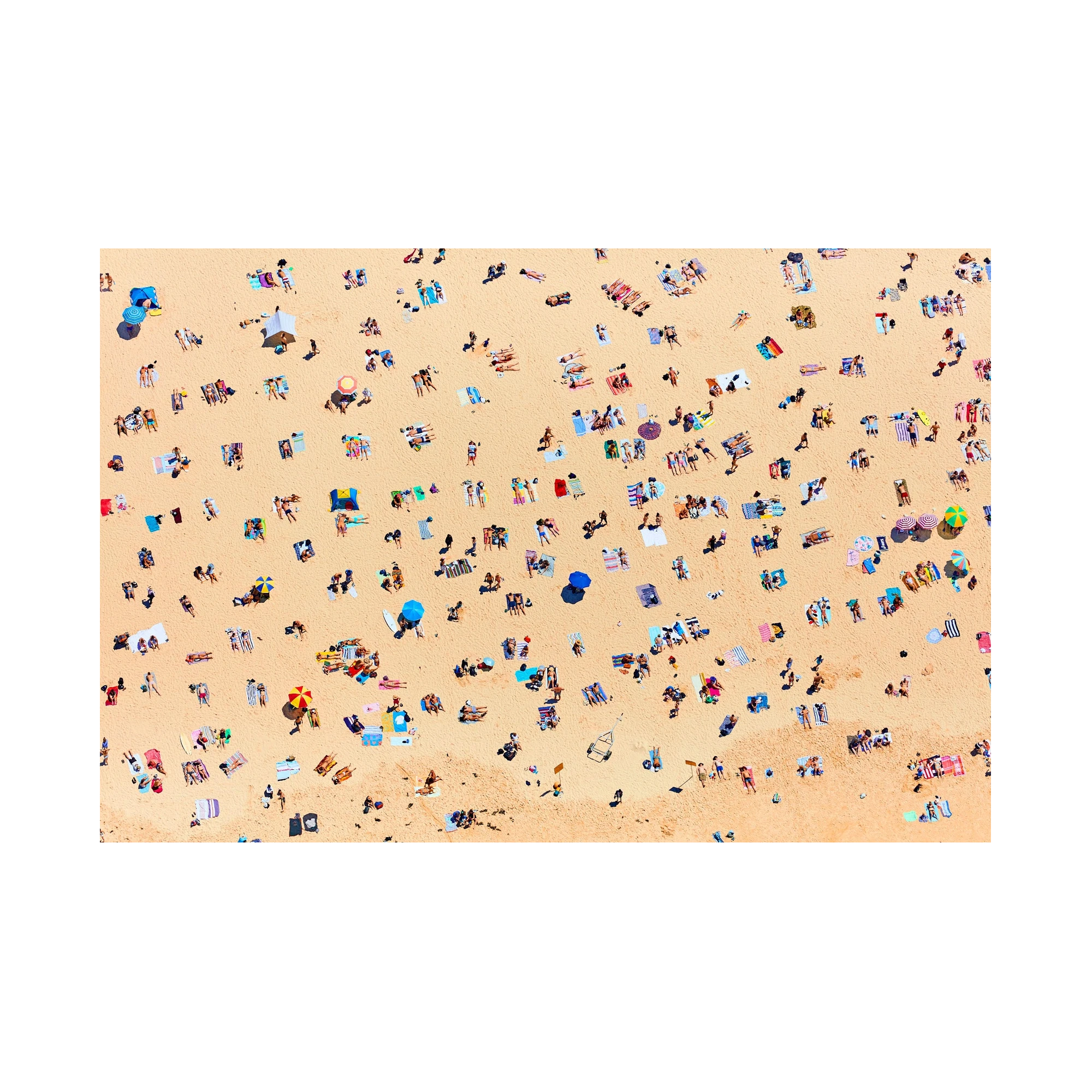 Bondi Beach Sunbathers, Horizontal Print, print only