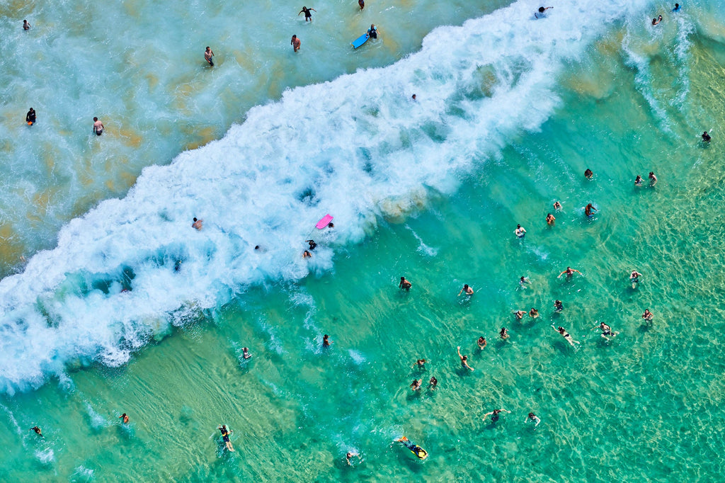 Bondi Swimmers, Horizontal Print - source print