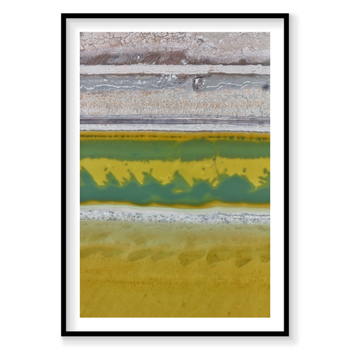 Brine, Great Salt Lake, Portrait Print, black Victorian Ash frame
