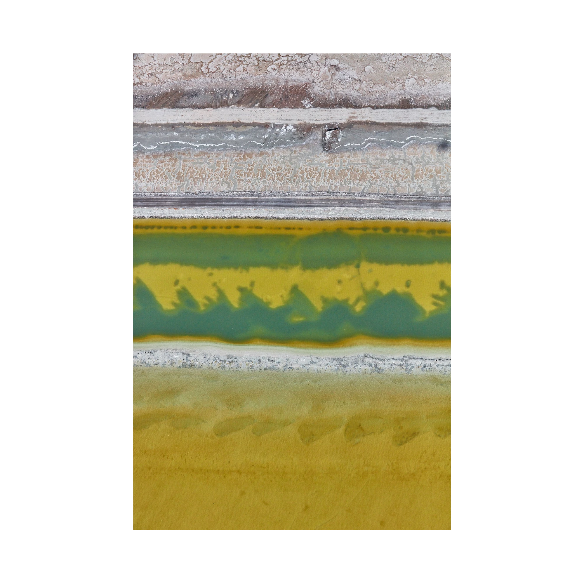 Brine, Great Salt Lake, Portrait Print, print only