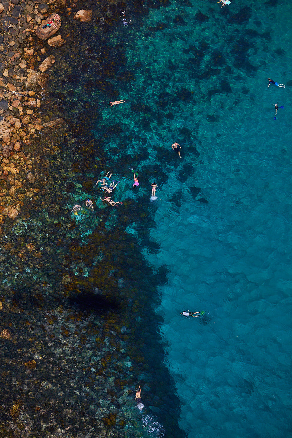 Cabbage Tree Bay Snorkelers, Vertical Print - source print