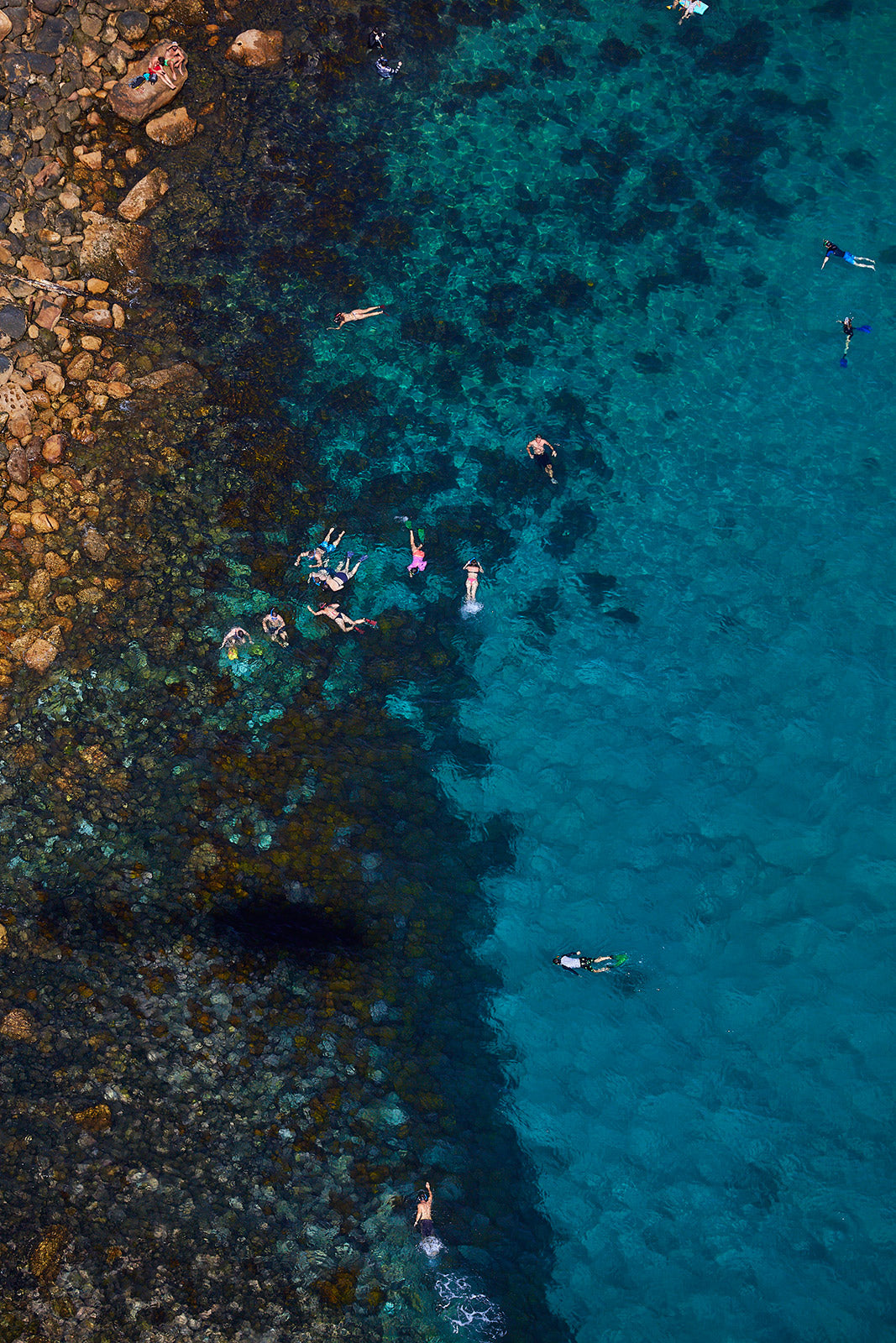 Cabbage Tree Bay Snorkelers, Vertical Print - source print