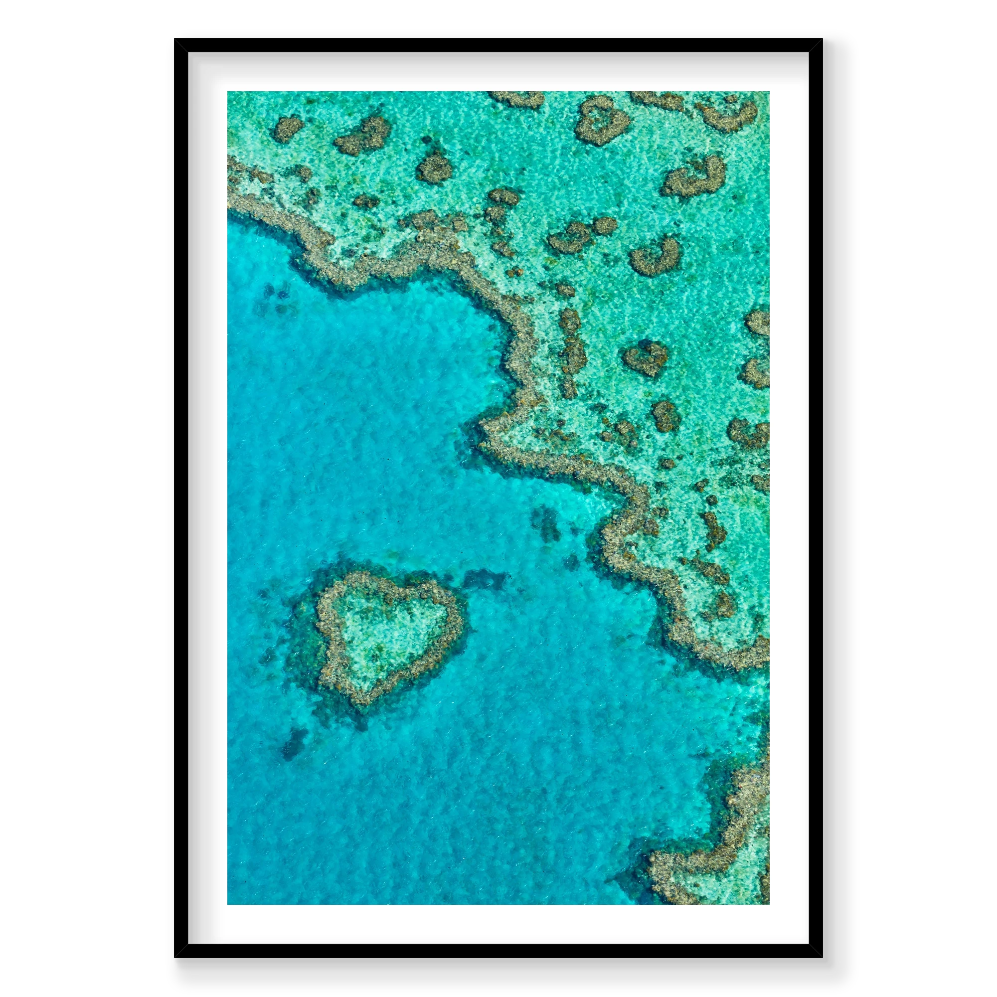 Heart Reef, Great Barrier Reef, Vertical Print, black Victorian Ash frame