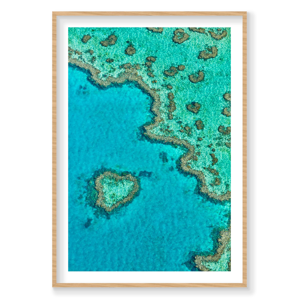 Heart Reef, Great Barrier Reef, Vertical Print, natural Victorian Ash frame