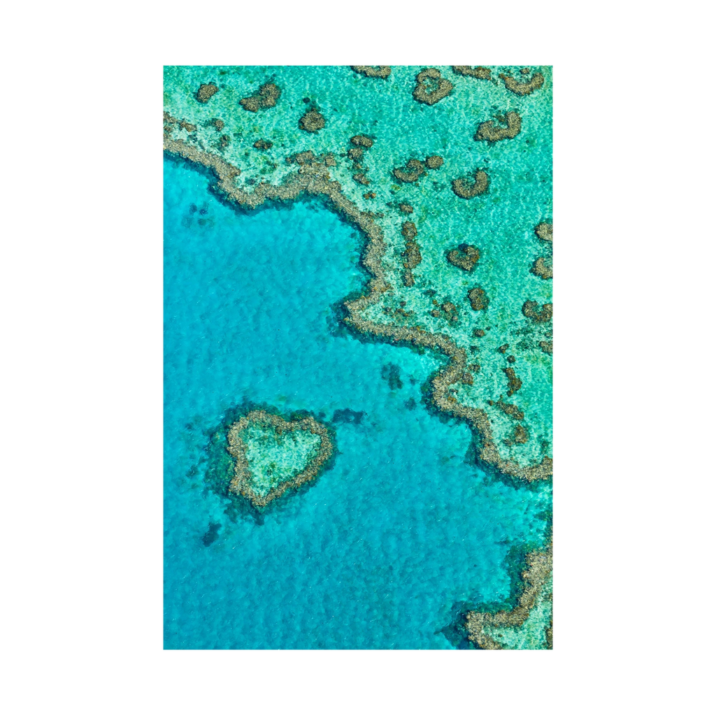 Heart Reef, Great Barrier Reef, Vertical Print, print only
