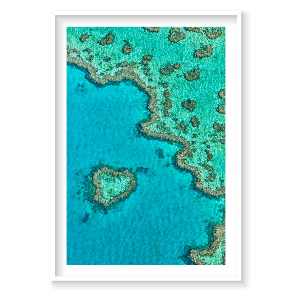Heart Reef, Great Barrier Reef, Vertical Print, white Victorian Ash frame