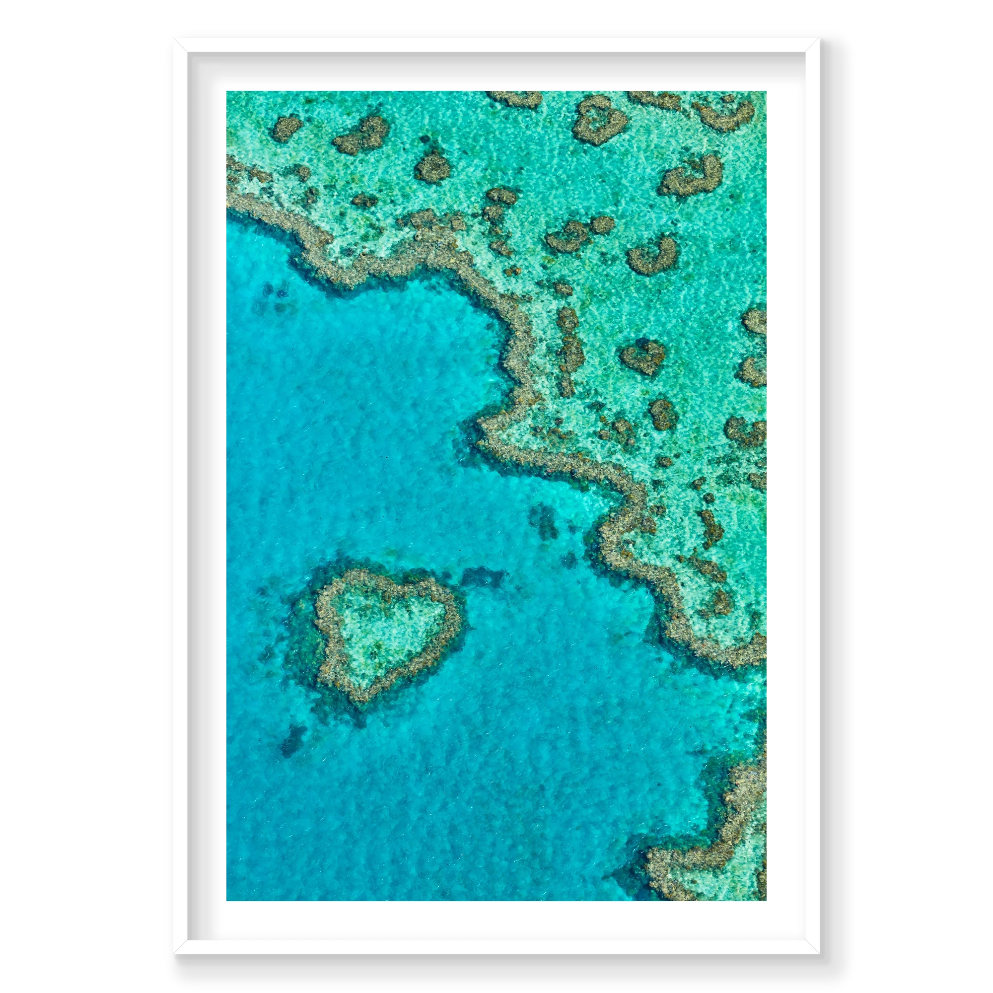Heart Reef, Great Barrier Reef, Vertical Print, white Victorian Ash frame