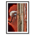 Chemical Spill, Western Australia, Vertical Print, black Victorian Ash frame