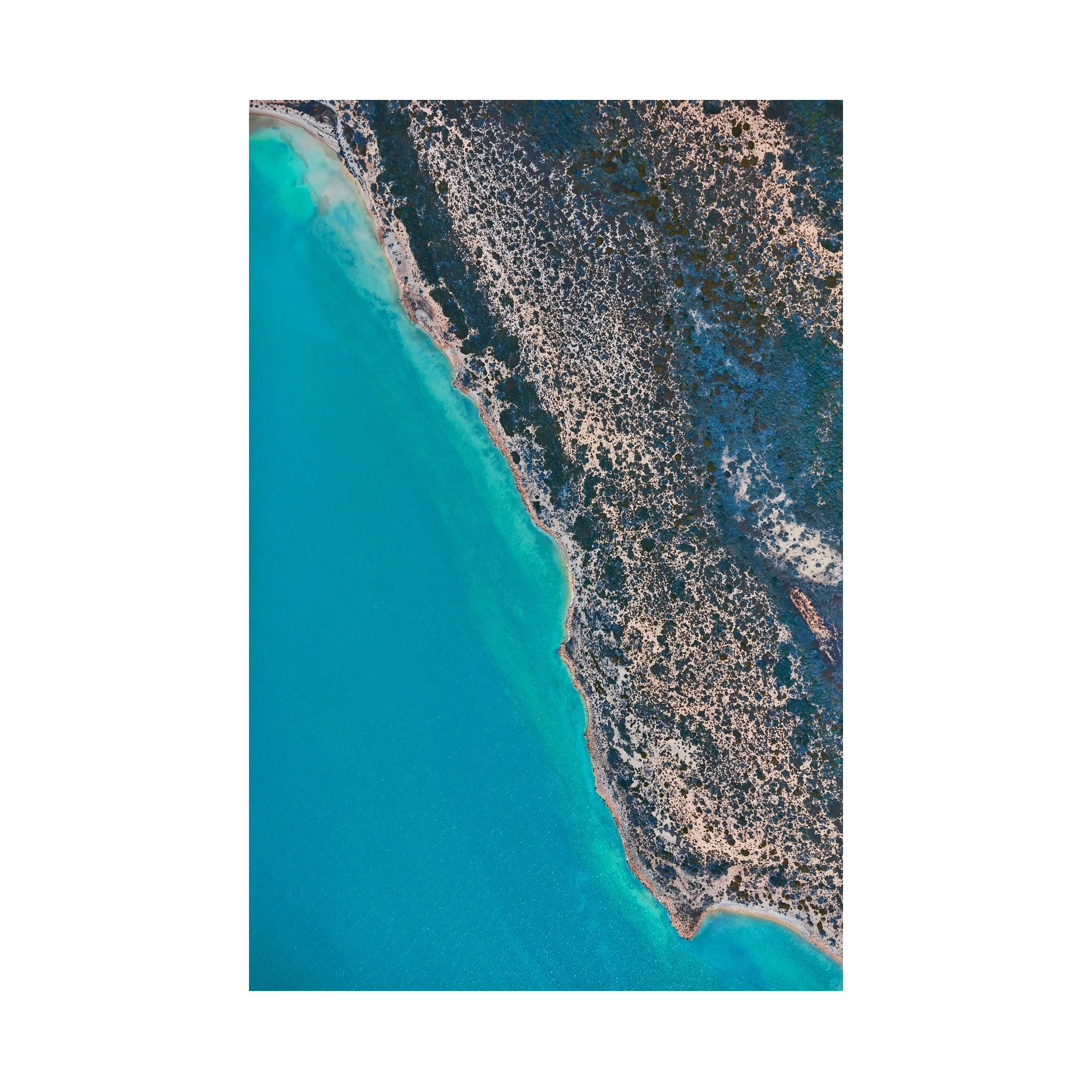 Coastline, Carrarang, Vertical Print, print only