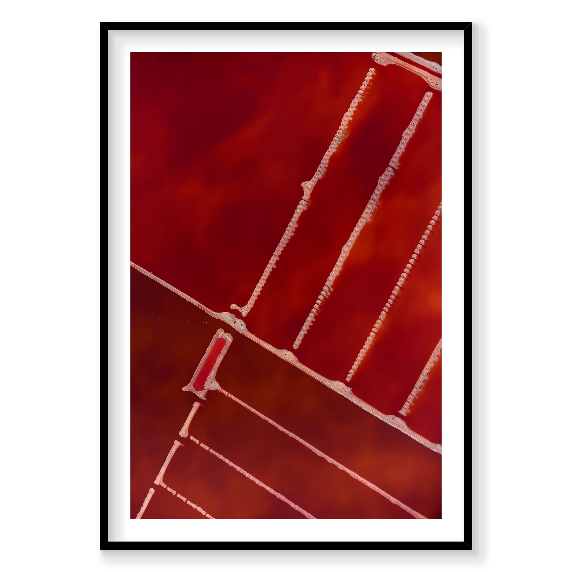 Compartment, Hutt Lagoon, Vertical Print, black Victorian Ash frame