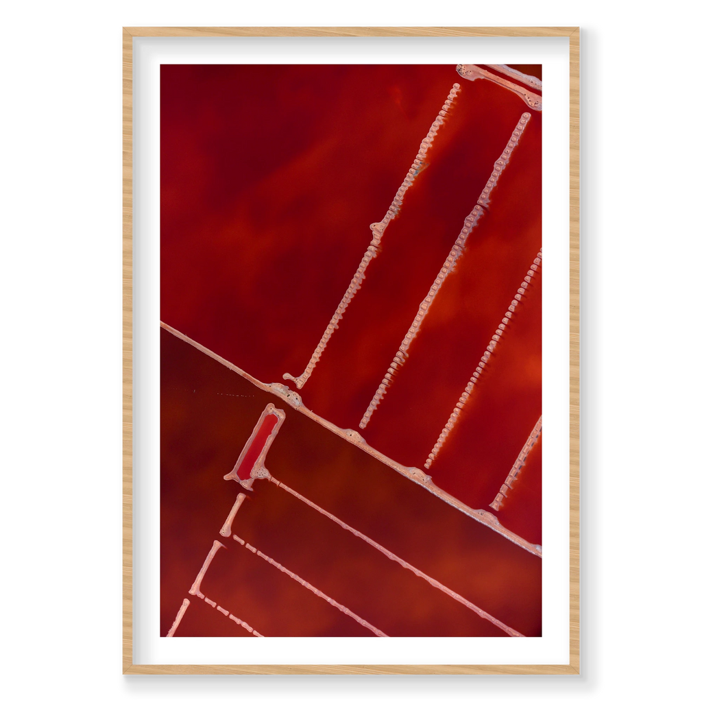 Compartment, Hutt Lagoon, Vertical Print, natural Victorian Ash frame