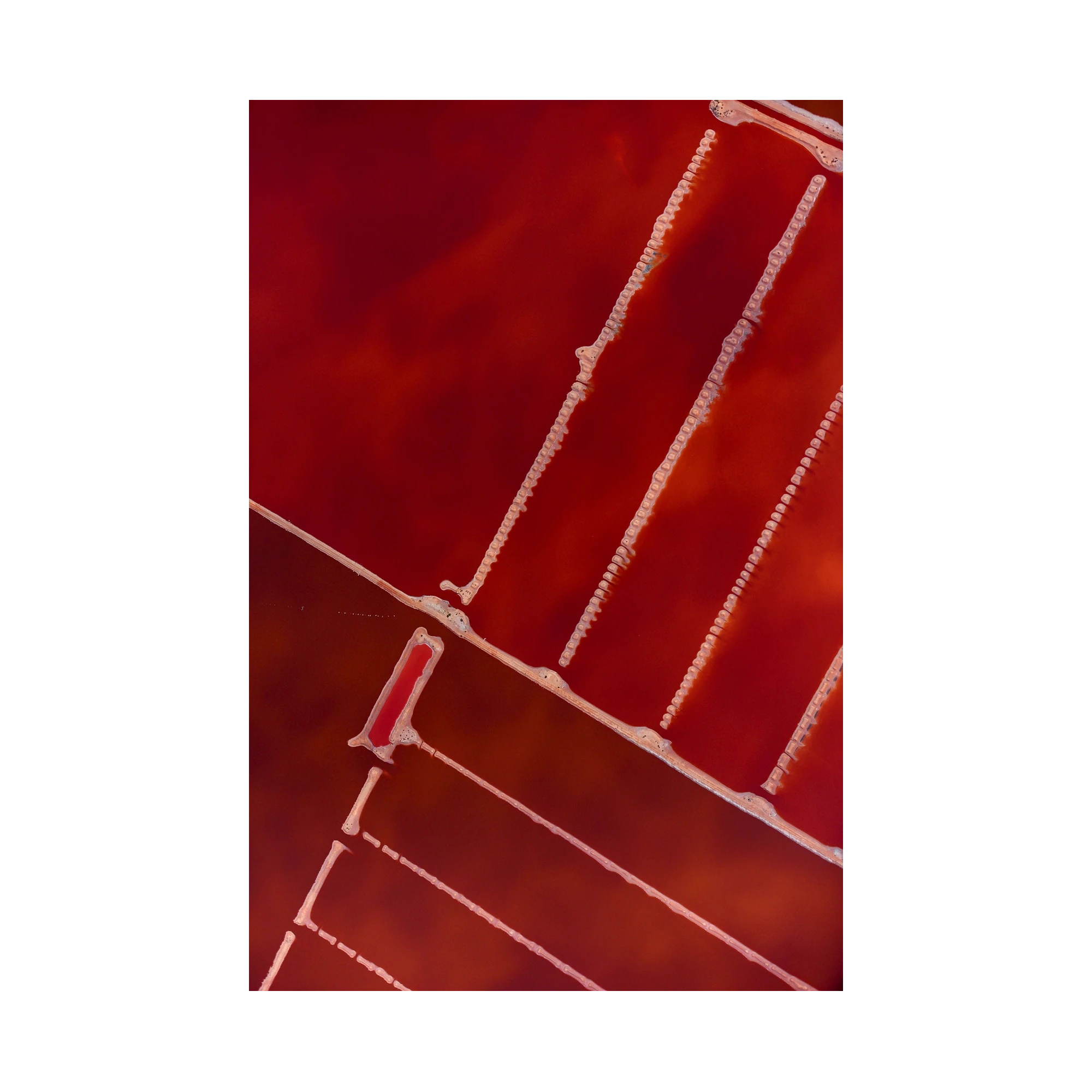 Compartment, Hutt Lagoon, Vertical Print, print only