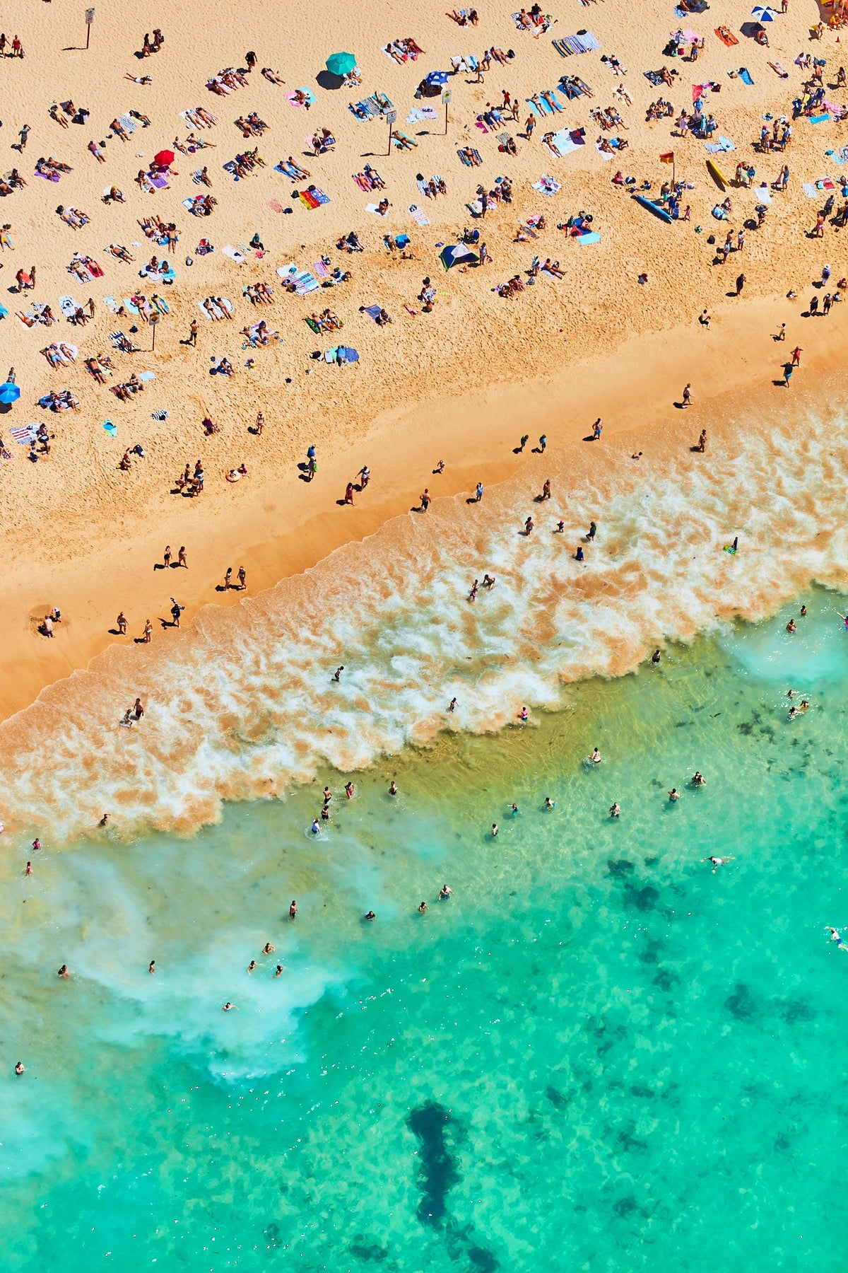 Coogee Beach, Vertical Print - source print