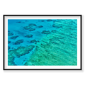 Coral, Great Barrier Reef, Horizontal Print, black Victorian Ash frame