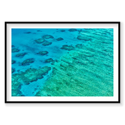 Coral, Great Barrier Reef, Horizontal Print