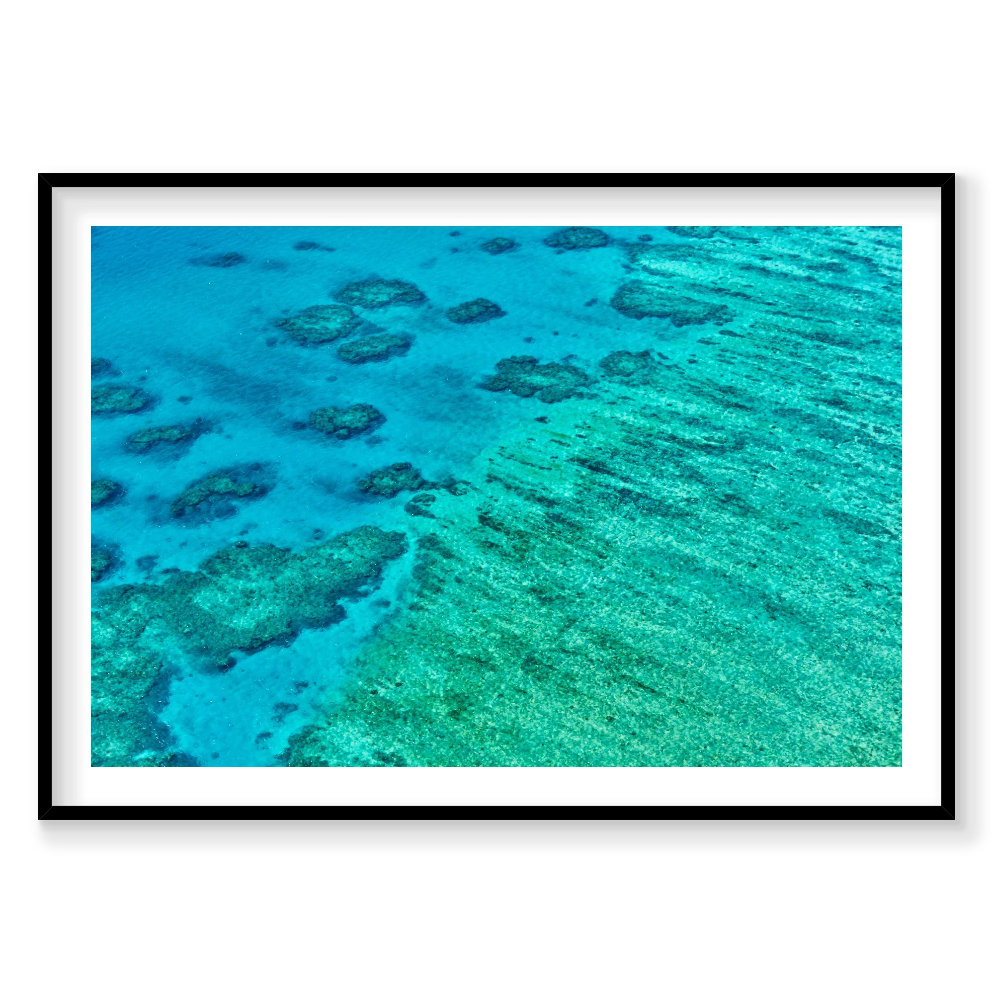 Coral, Great Barrier Reef, Horizontal Print, black Victorian Ash frame