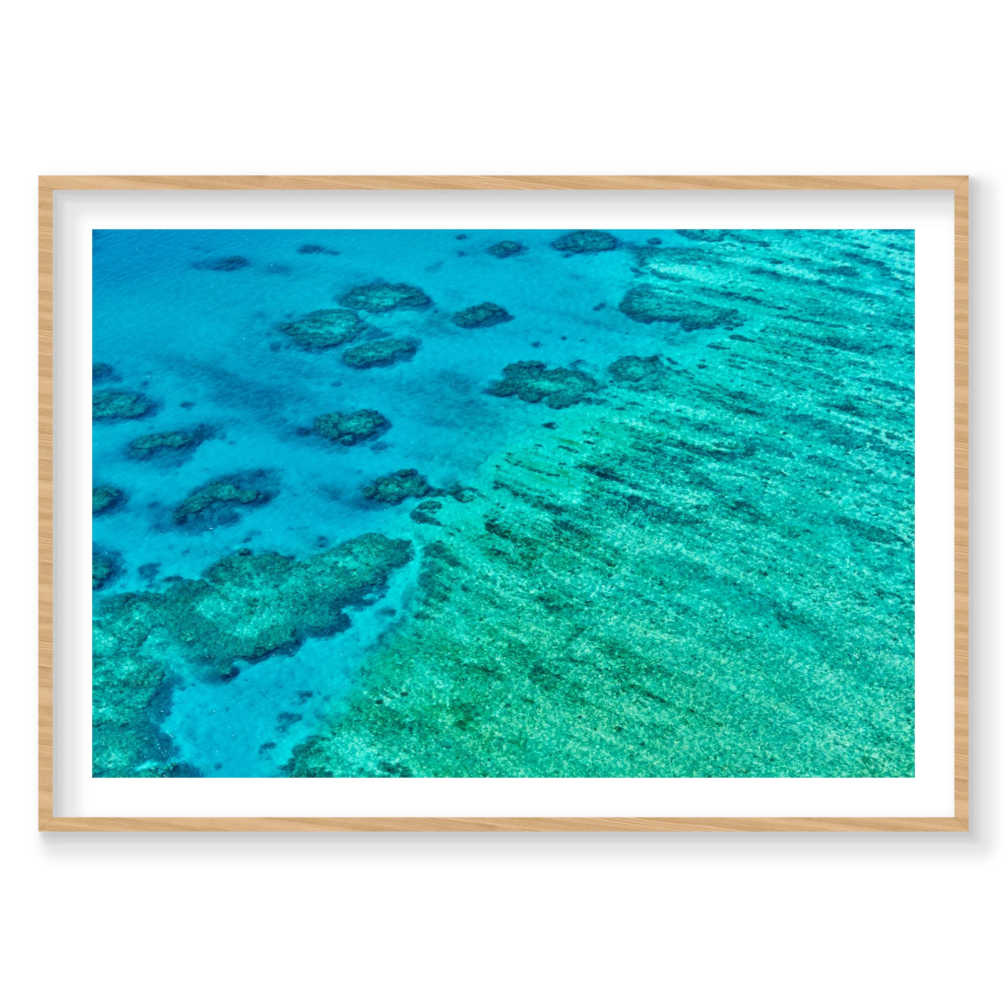 Coral, Great Barrier Reef, Horizontal Print, natural Victorian Ash frame