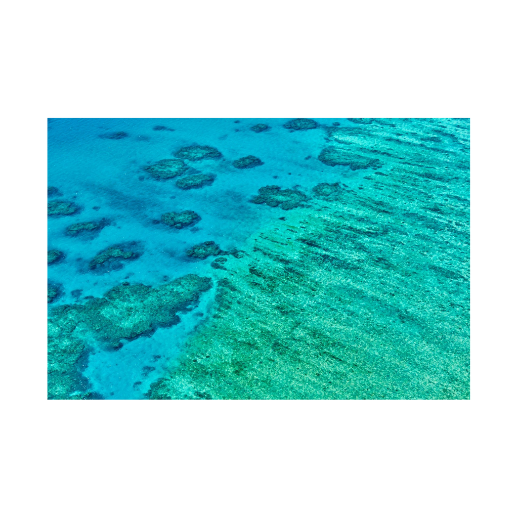 Coral, Great Barrier Reef, Horizontal Print, print only