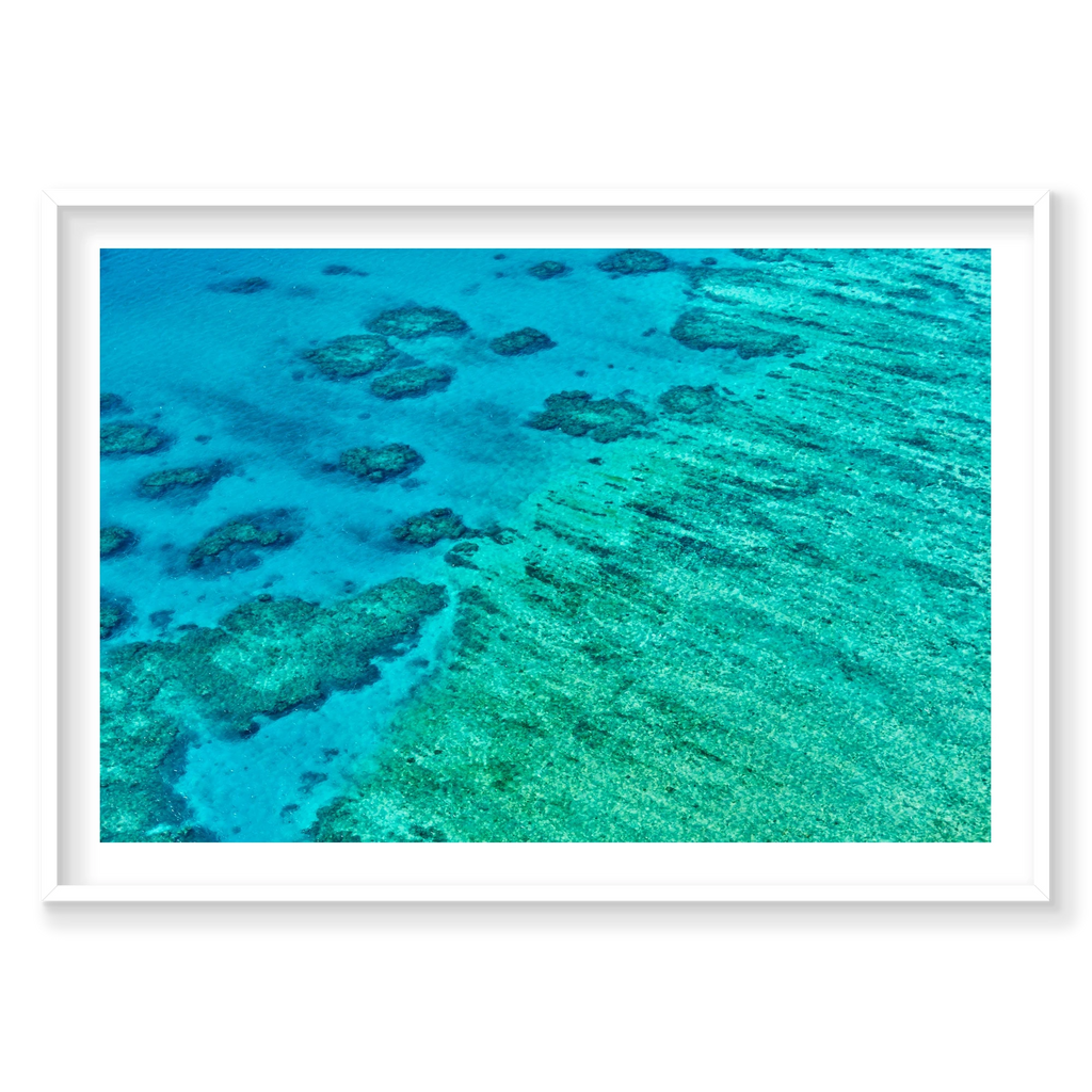Coral, Great Barrier Reef, Horizontal Print, white Victorian Ash frame