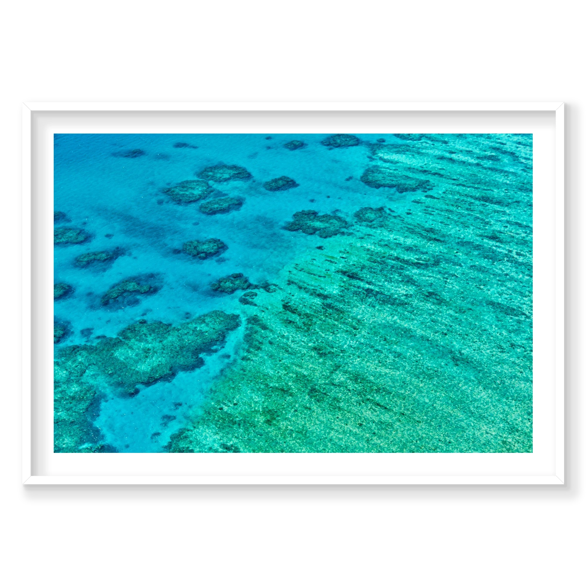 Coral, Great Barrier Reef, Horizontal Print, white Victorian Ash frame