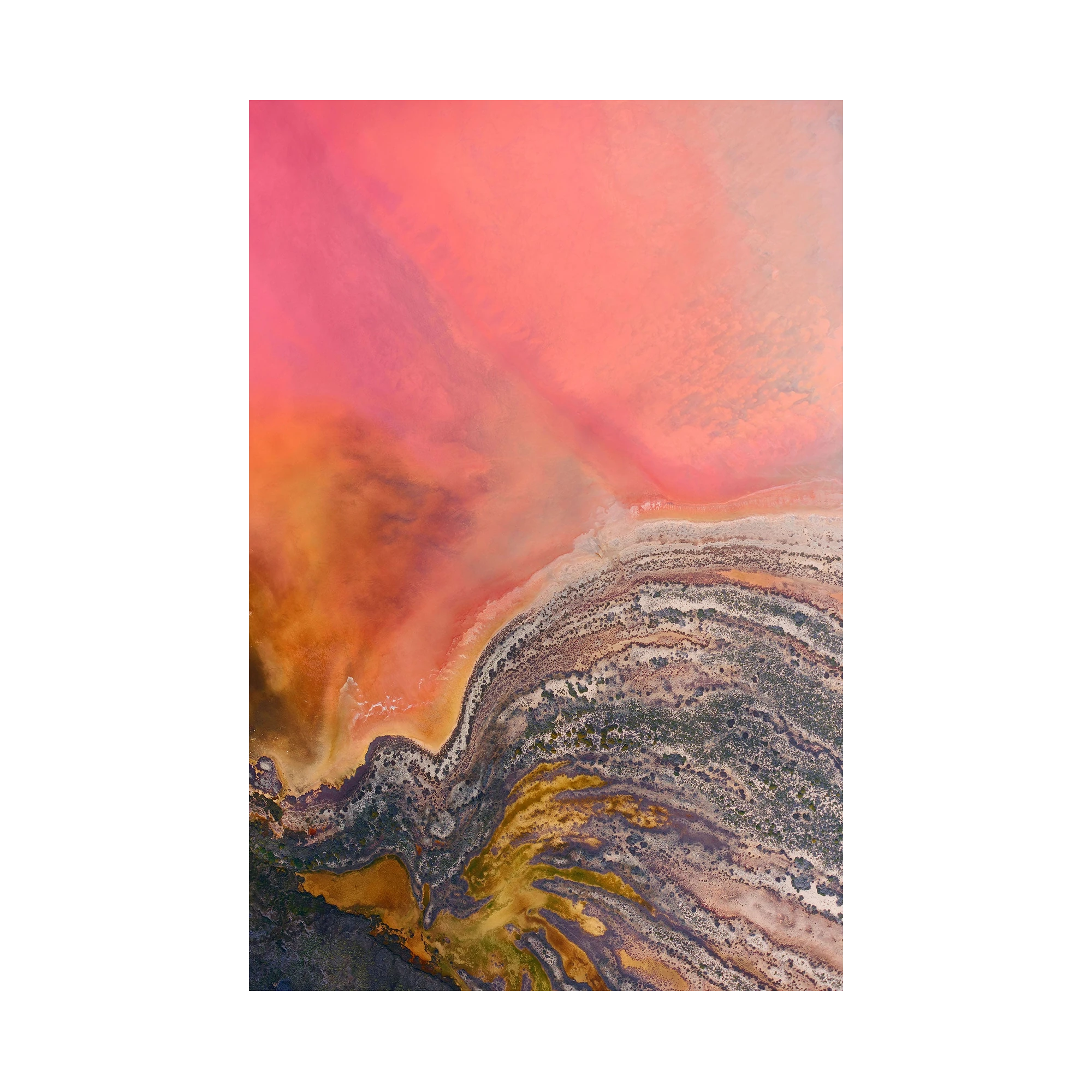 Butterfly, Hutt Lagoon, Vertical Print, print only