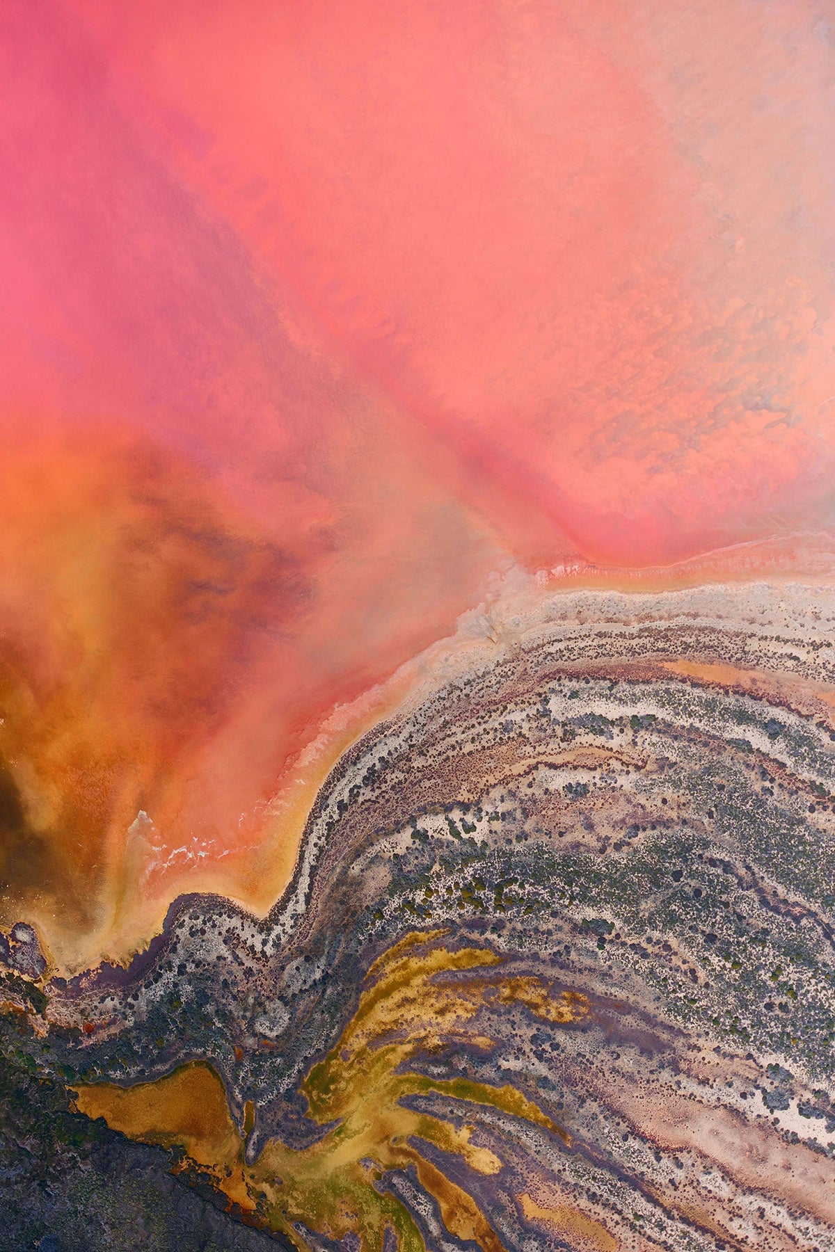 Butterfly, Hutt Lagoon, Vertical Print - source print