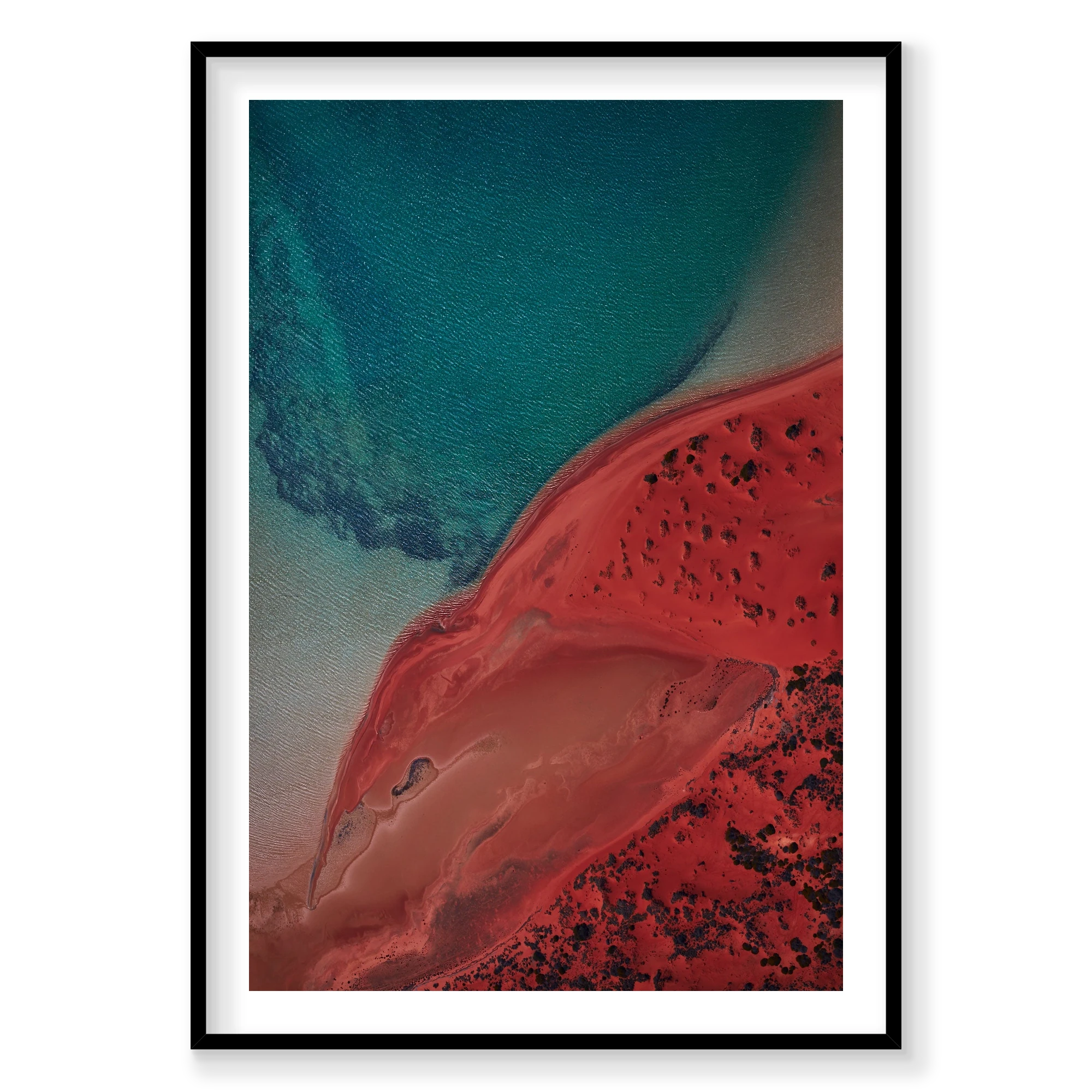 Eagle, Shark Bay, Vertical Print, black Victorian Ash frame